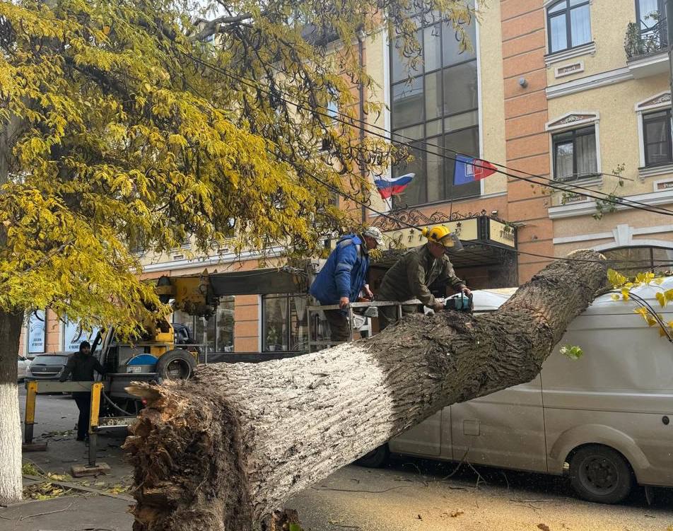 В Ростове-на-Дону за день случилось 46 происшествий из-за непогоды