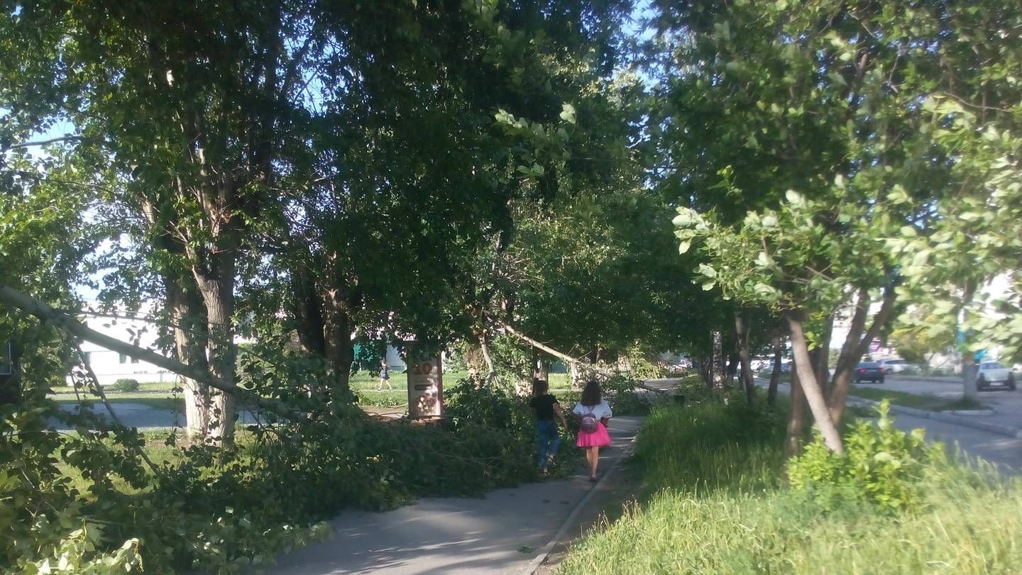 Дети идут по бульвару после ненастья. Новосибирская область, рабочий поселок Линево