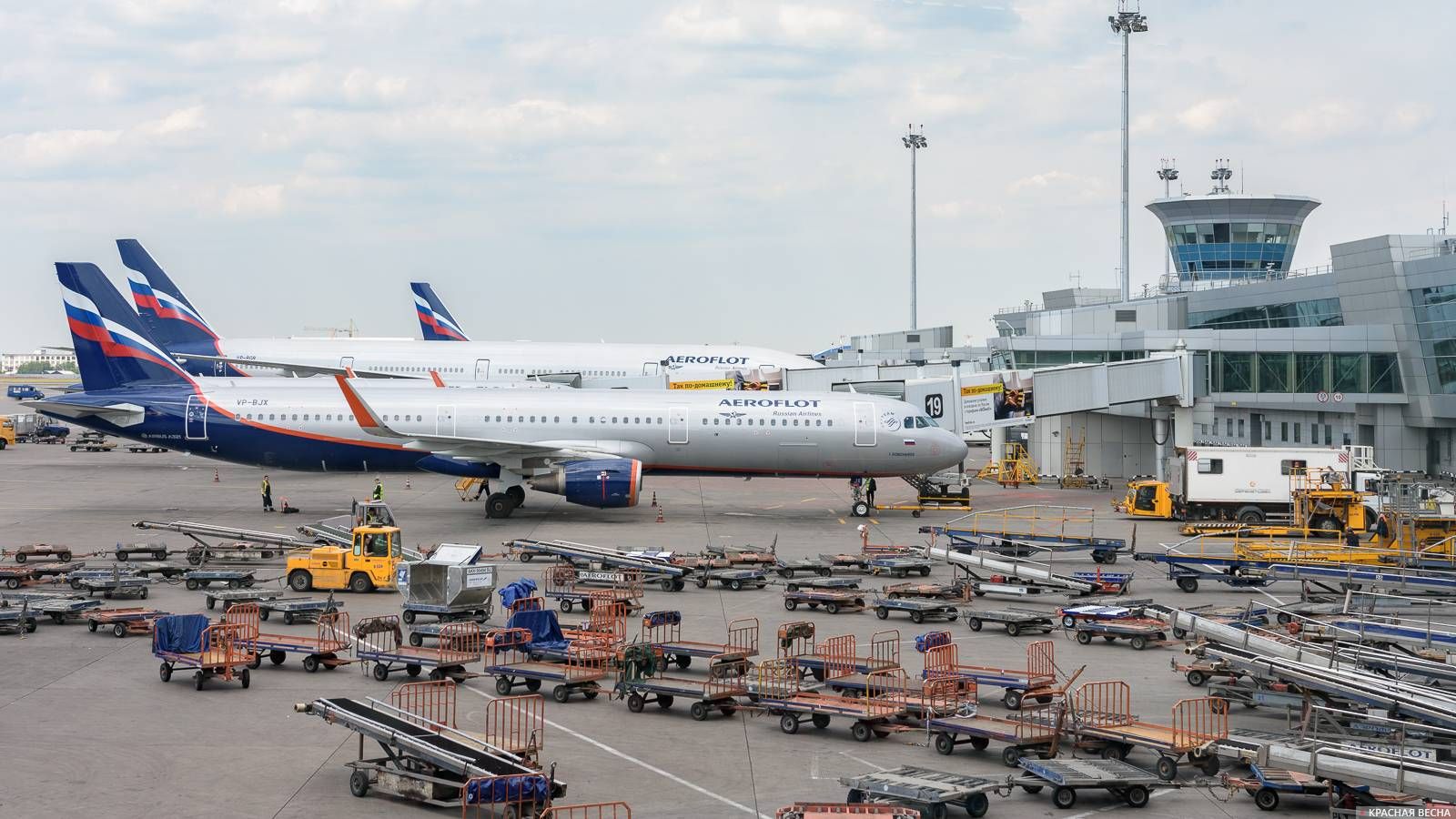 Самолеты авиакомпании Аэрофлот в аэропорту Шереметьево.