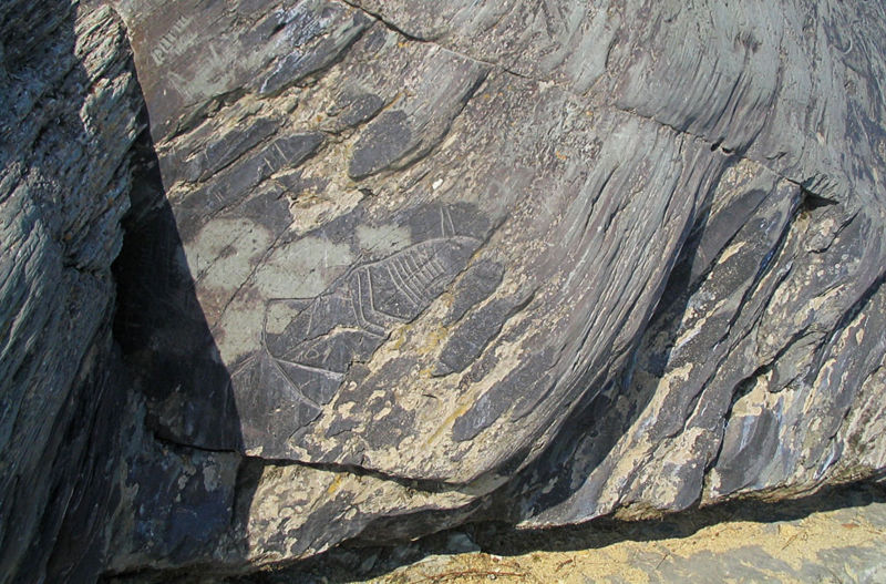 Фрагмент наскального изображения на скале в музее-заповеднике «Томская писаница»