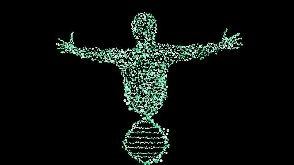Генные мутации способны вызвать рак у человека, и это доказанный факт. Понять, есть ли у вас риск рака, можно в современных лабораториях, однако данные исследования находятся на стадии разработки. Зная, как устроены гены, мы сможем успешно диагностировать и лечить рак.