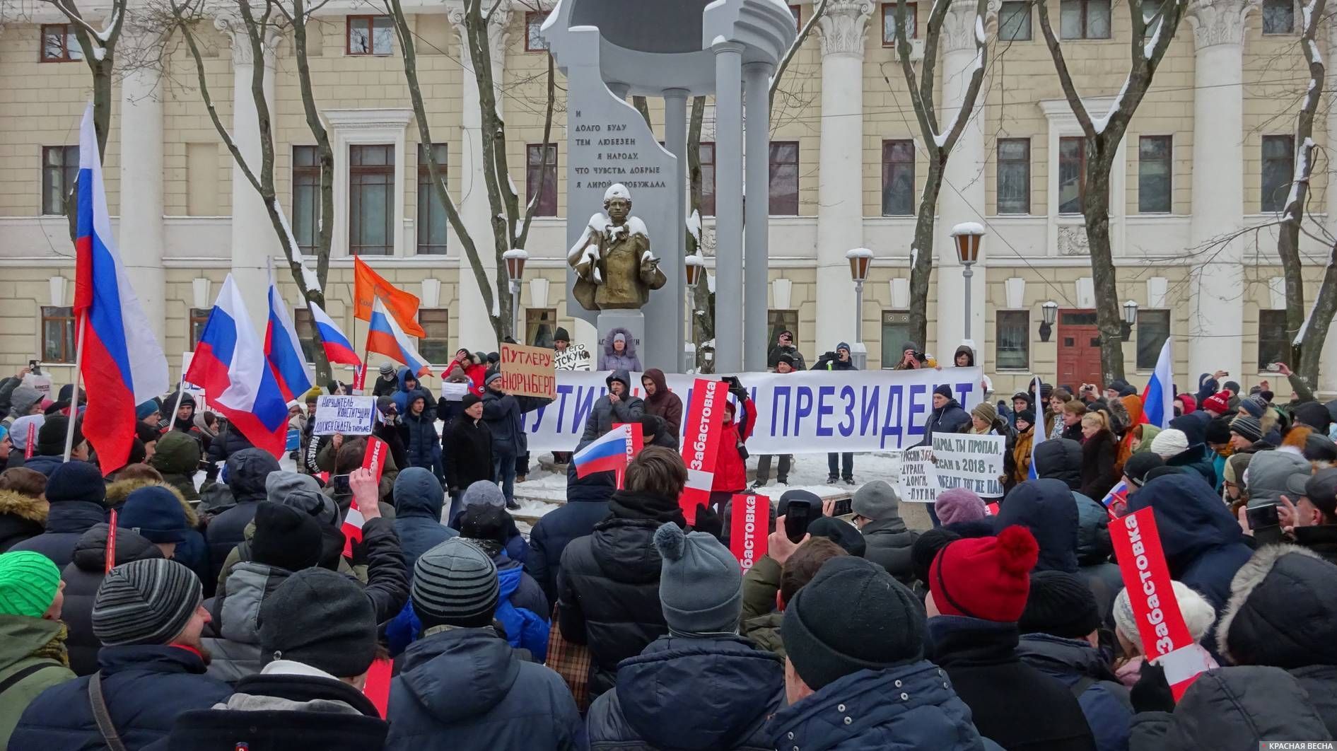Митинг Навального. Воронеж