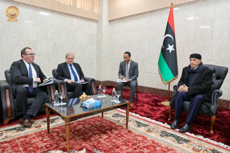 Переговоры спикера Палаты представителей Ливии Агилы Салеха и специального представителя США в Ливии Ричарда Норланда