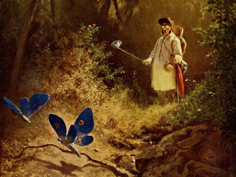 Карл Шпицвег. Охотник на бабочек (фрагмент). 1840