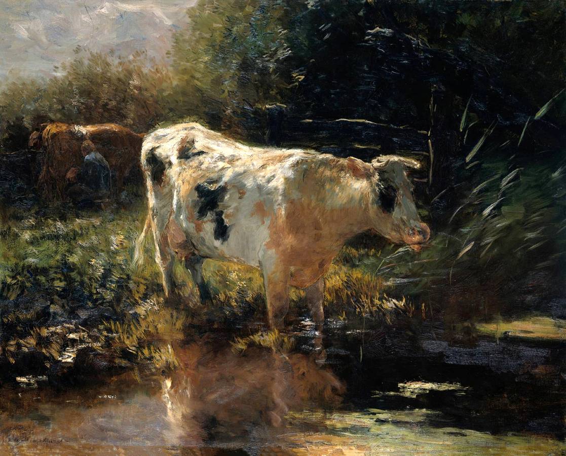 Виллем Марис. Корова у края рва. 1885