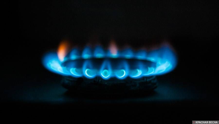 Поставки газа в Германию стабильны, хранилища заполнены наполовину — BNetzA