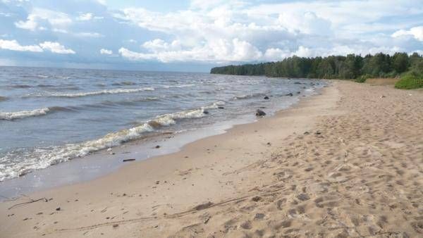 Берег Рыбинского водохранилища