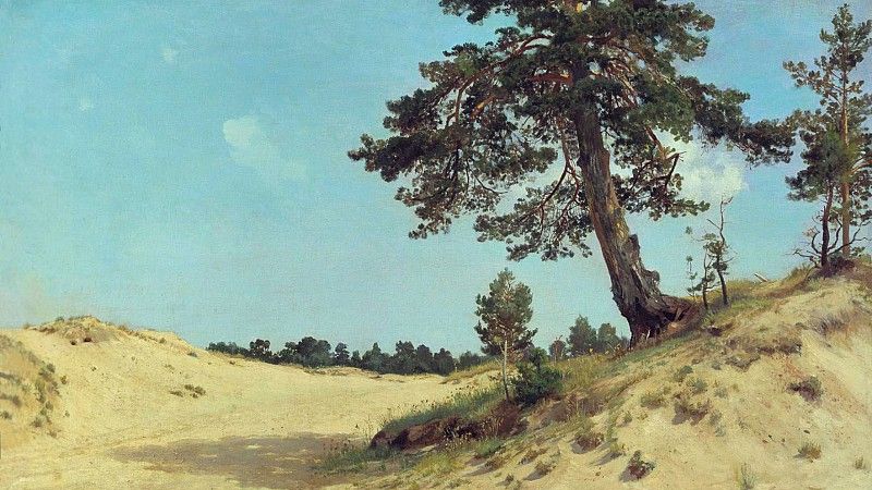 И. И. Шишкин. Сосна на песке. 1884