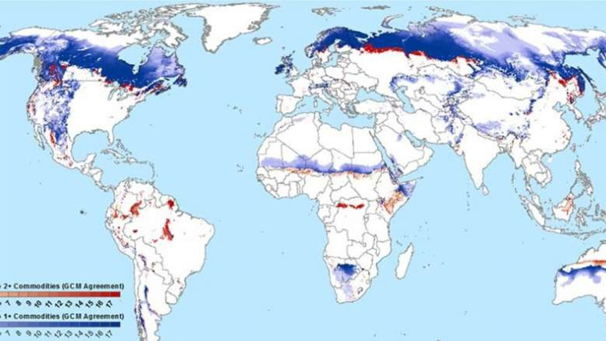Синим цветом обозначены предполагаемые зоны изменения климата