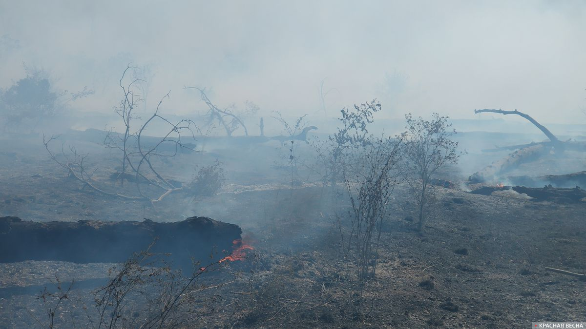 Природный пожар