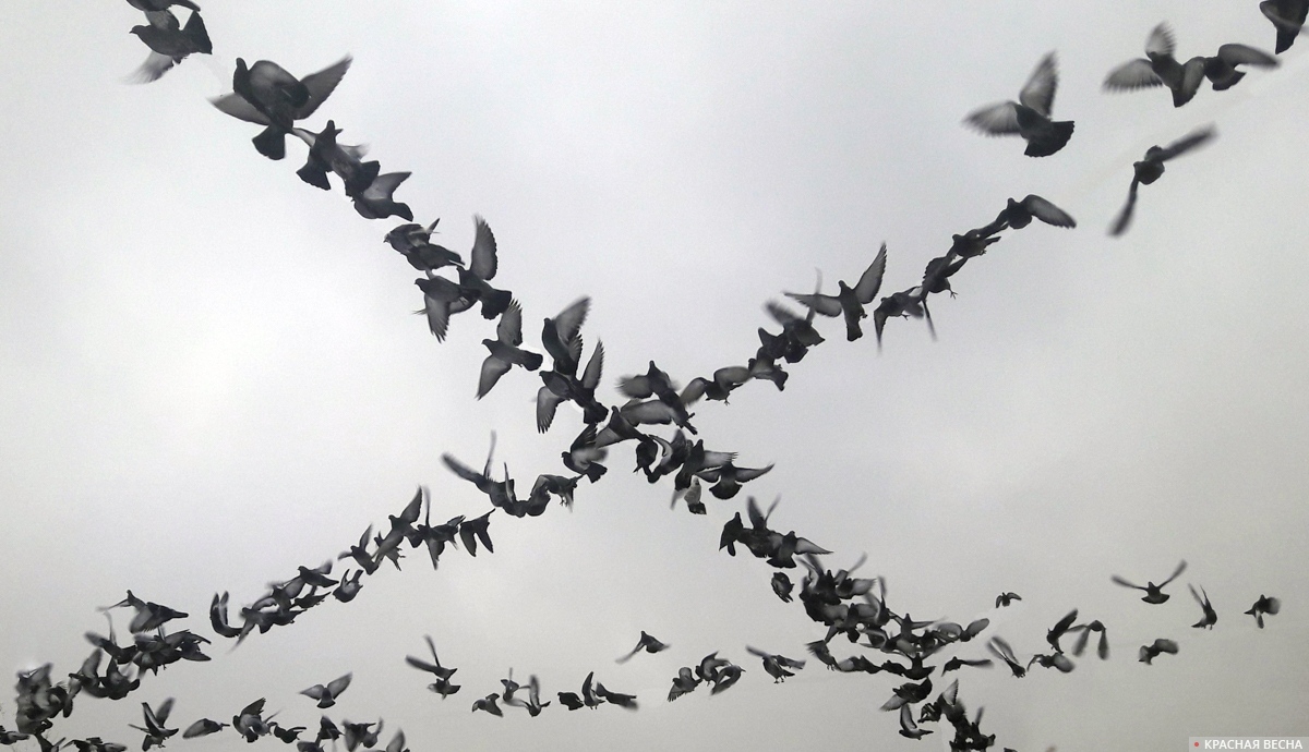 Дроны ВСУ атаковали предприятие в Дагестане