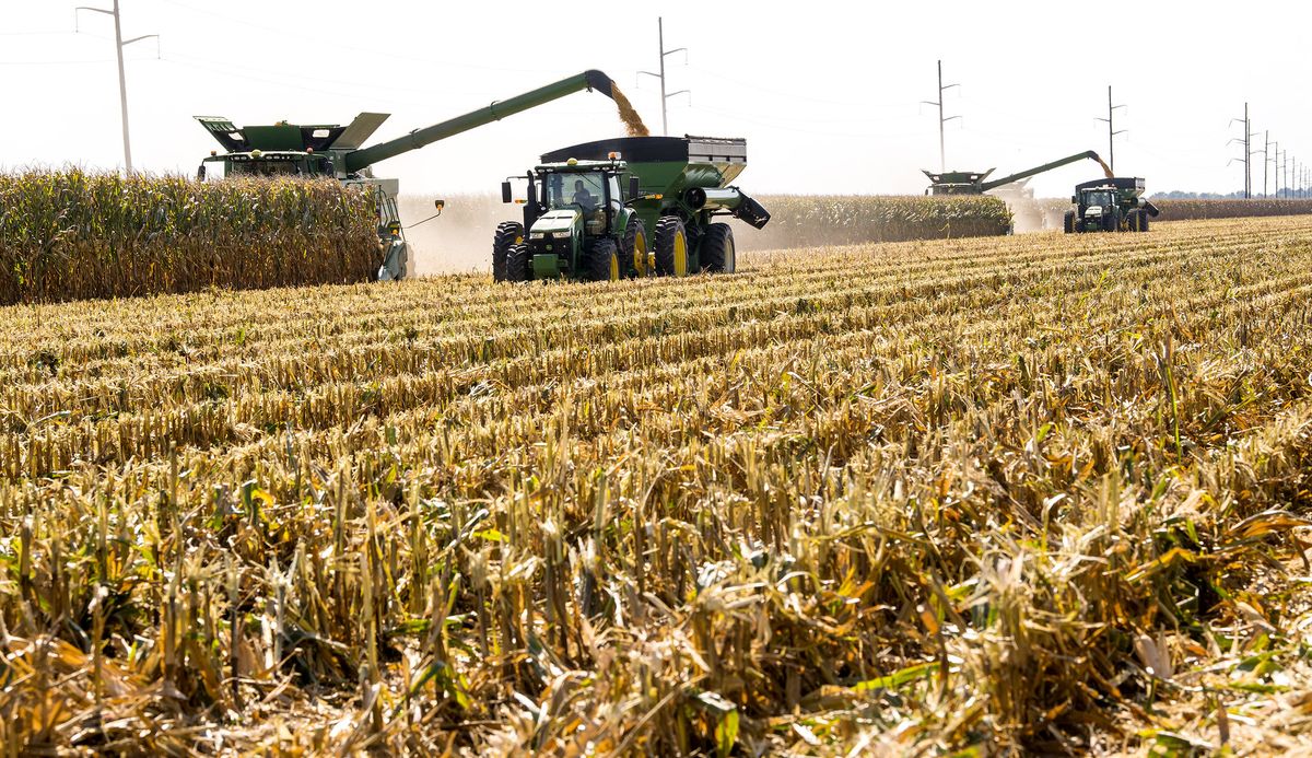 Уборка кукурузы в США