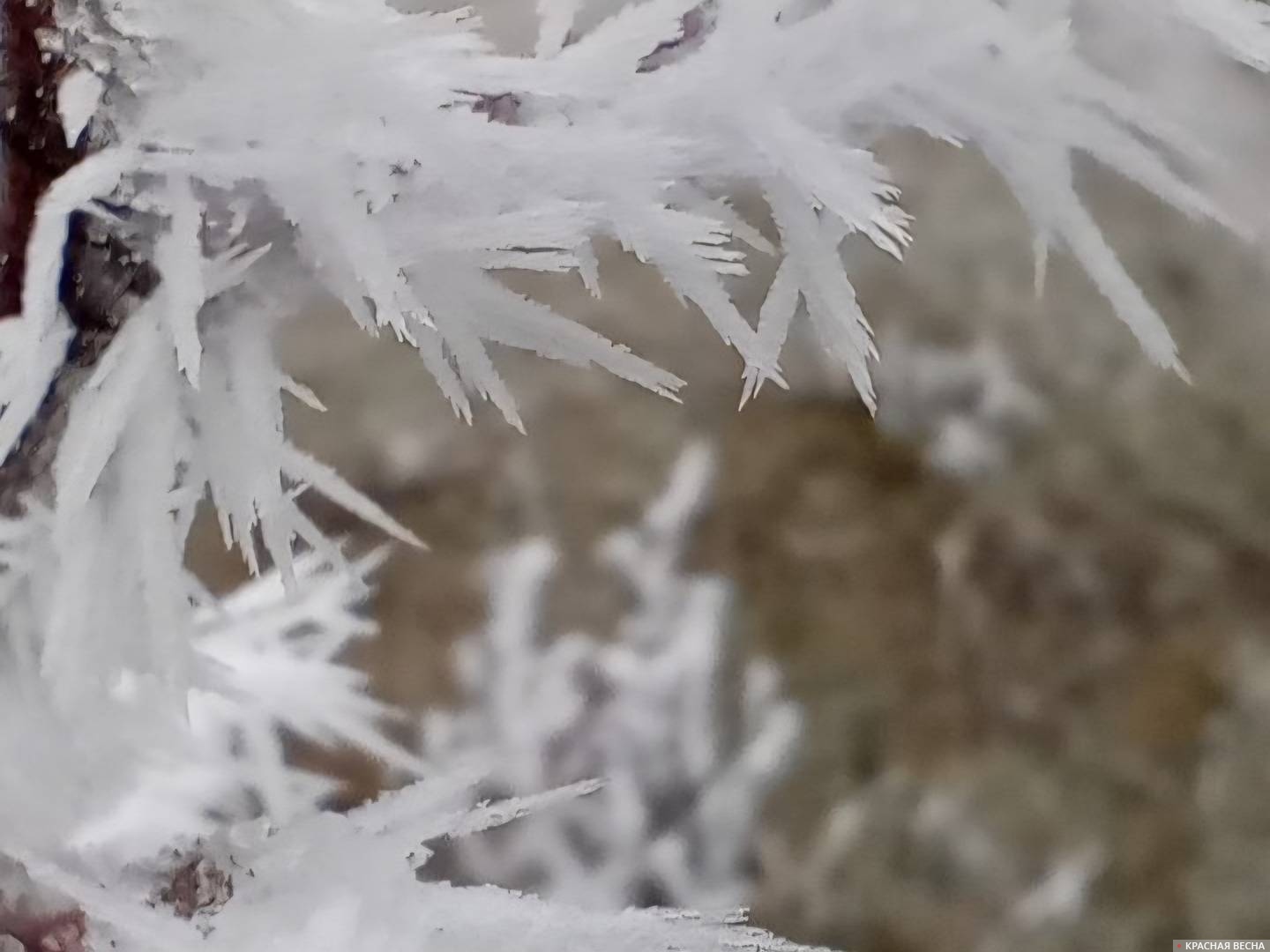 Игольчатые снежинки 