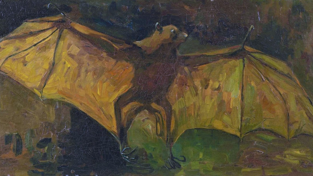 Винсент Ван Гог. Летучая лисица. 1885 г.