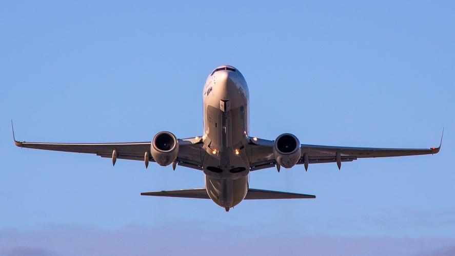 Boeing 737 [Павел Латышов © ИА Красная Весна]