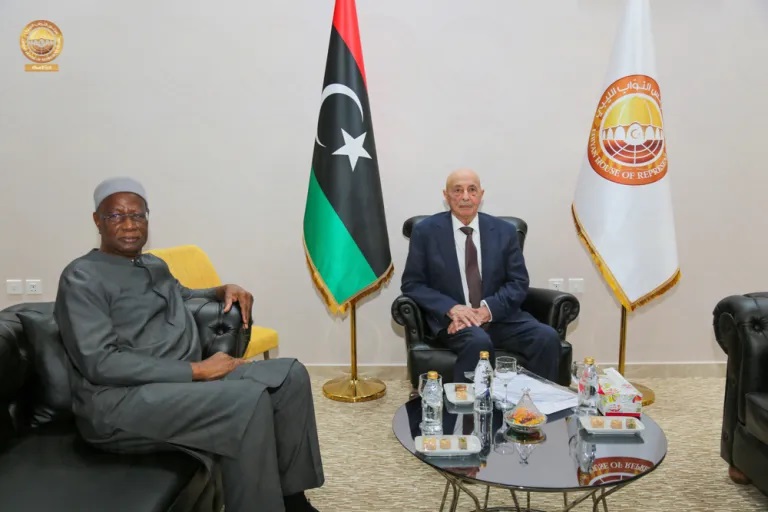 Спикер Палаты представителей Ливии Агила Салех и глава миссии ООН по поддержке в Ливии (МООНПЛ) Абдулай Батили