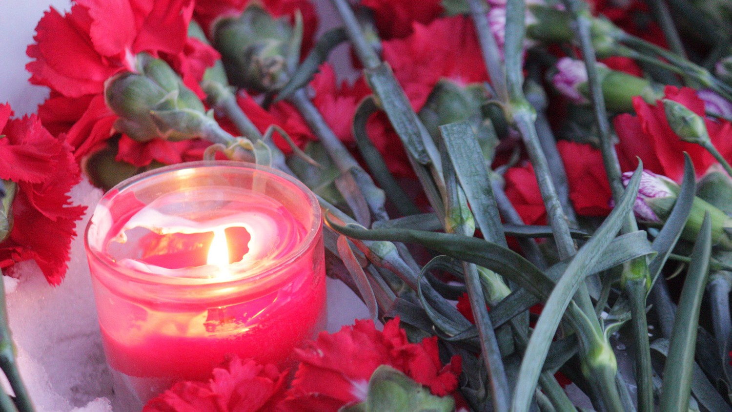 От огня киевских карателей за сутки погибли пять мирных жителей ДНР — ДАН