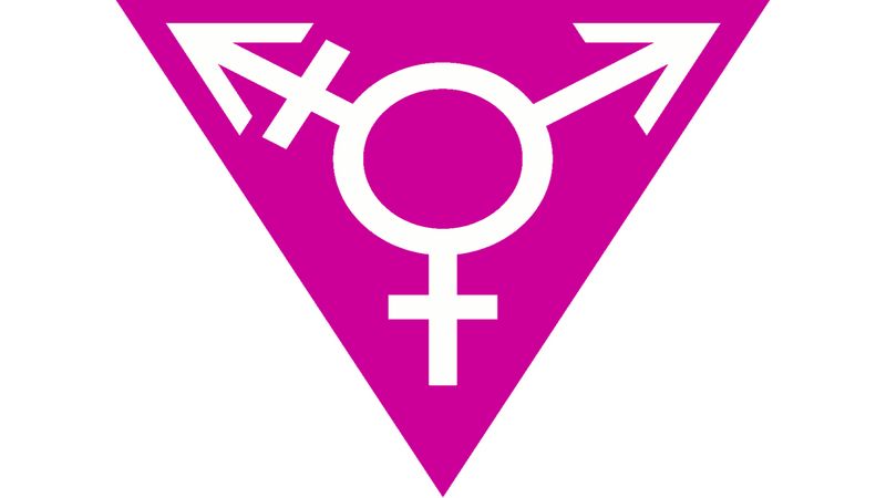 Символ трансгендеров 