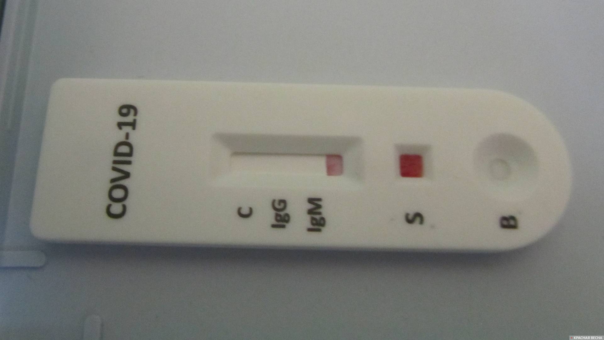 Тест на коронавирус
