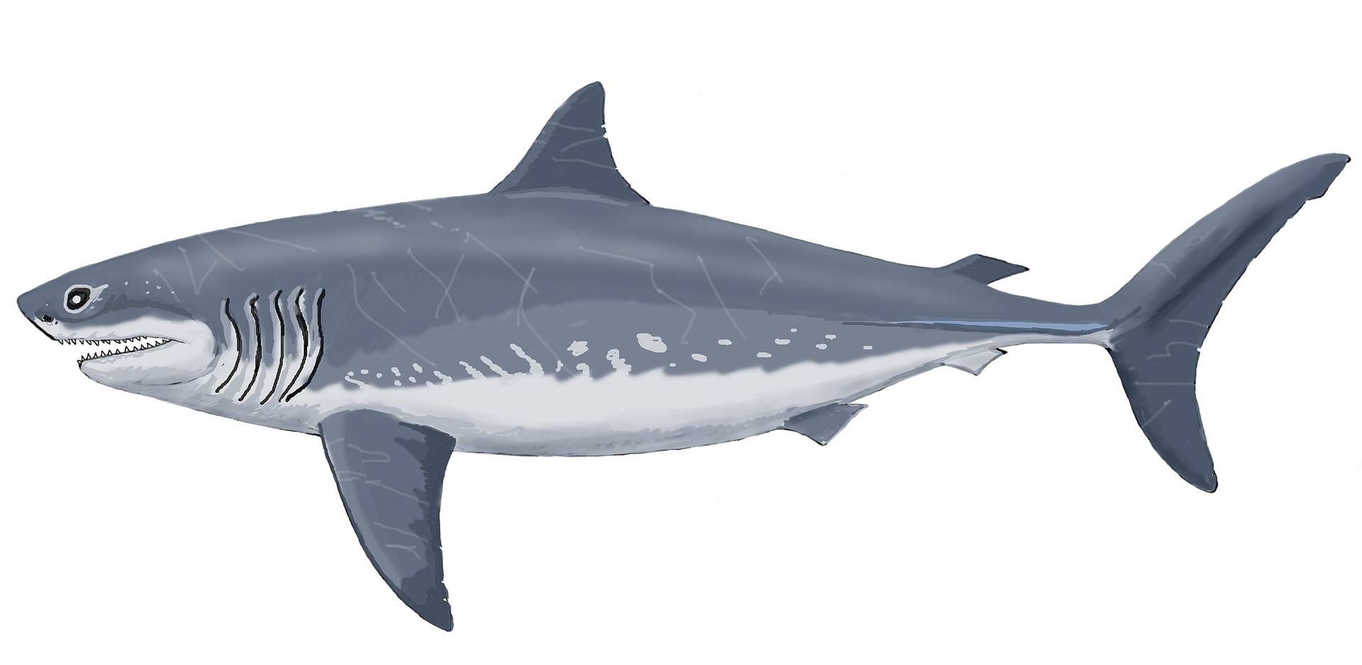 Кретоксирина