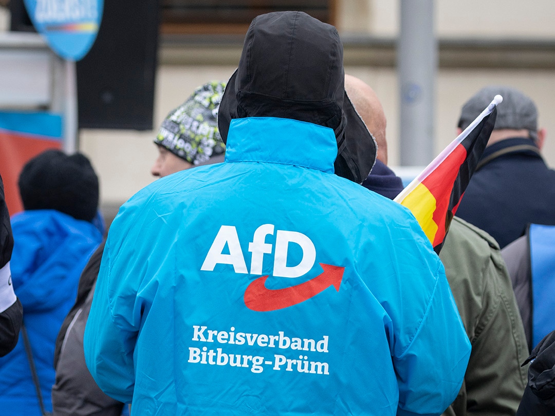 Символика ультраправой партии «Альтернатива для Германии» (АдГ)