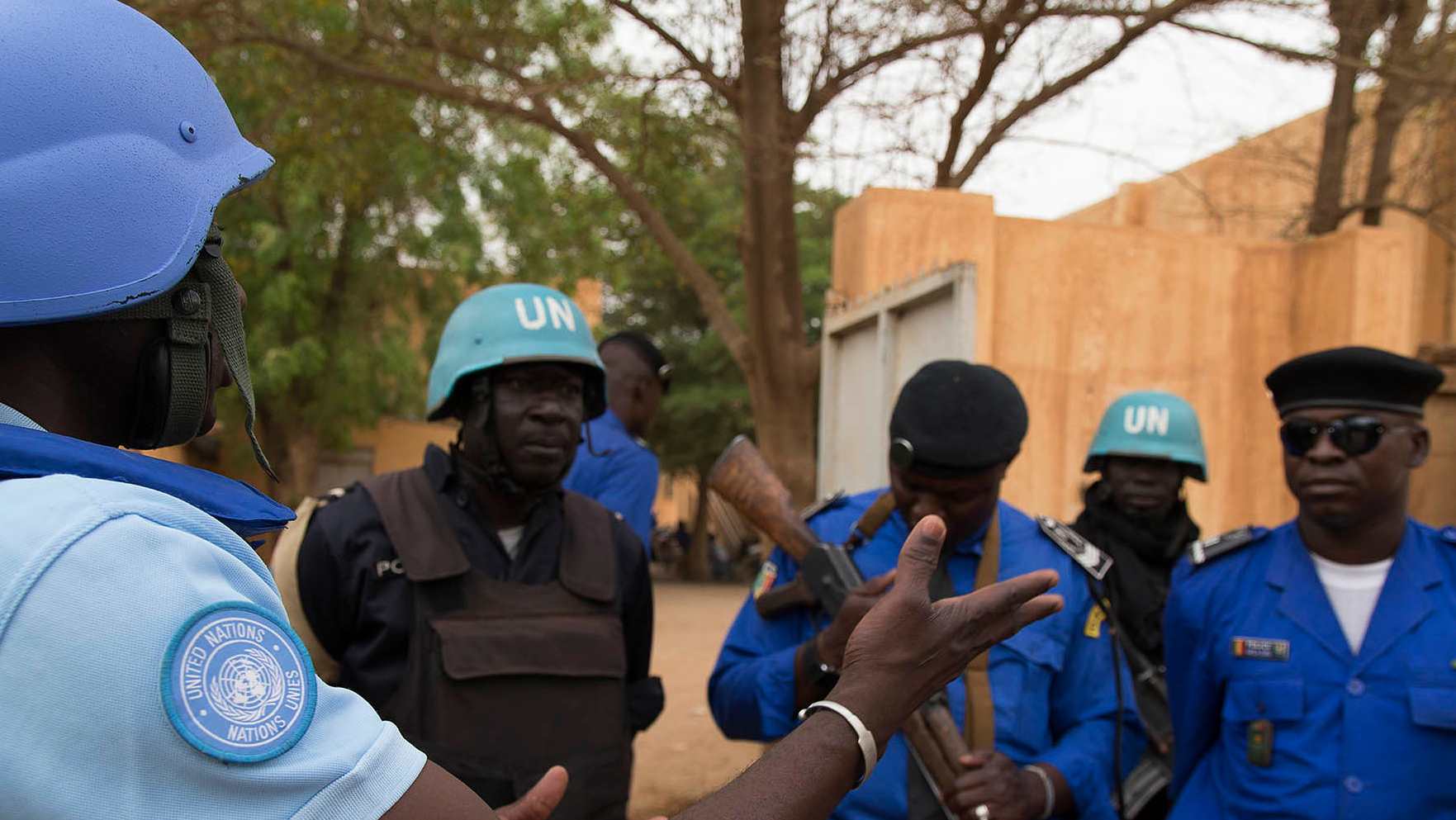 Полиция Мали