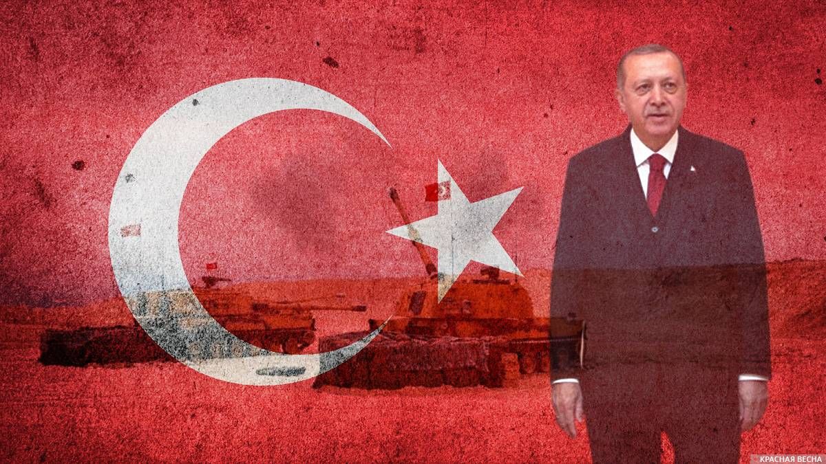 Турция. Эрдоган.