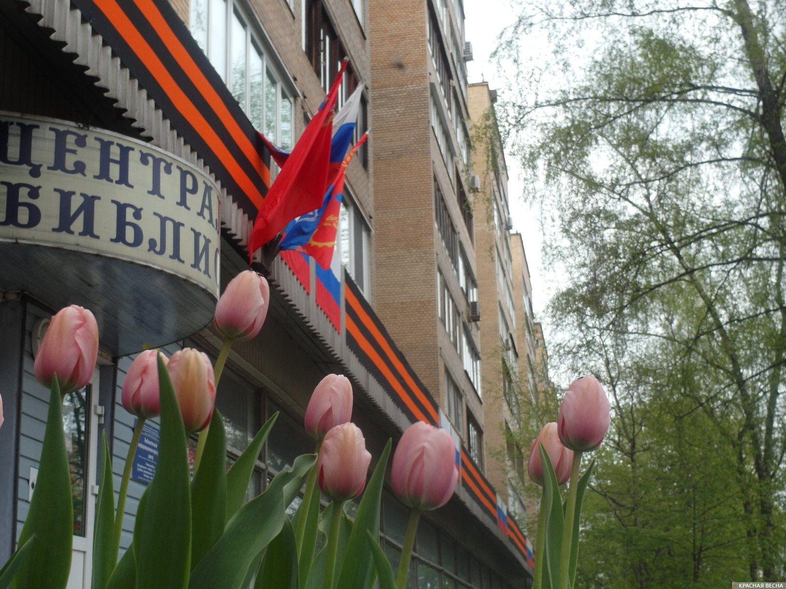 Тюльпаны и флаги. Железнодорожный