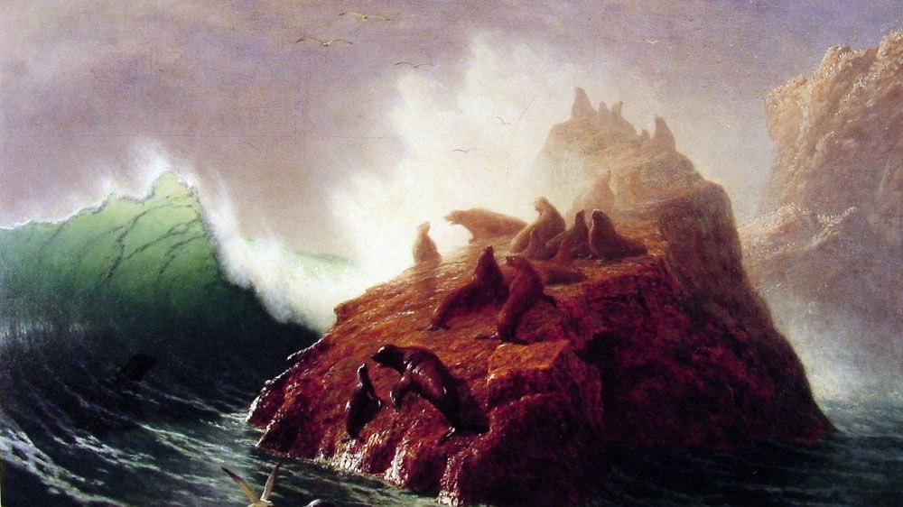 Бирштадт Альберт. Тюленья скала. 1872