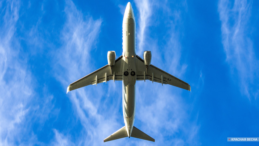Самолет и небо [Павел Латышов © ИА Красная Весна]