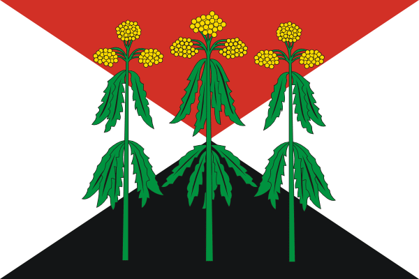 Флаг муниципального образования Кимовский район