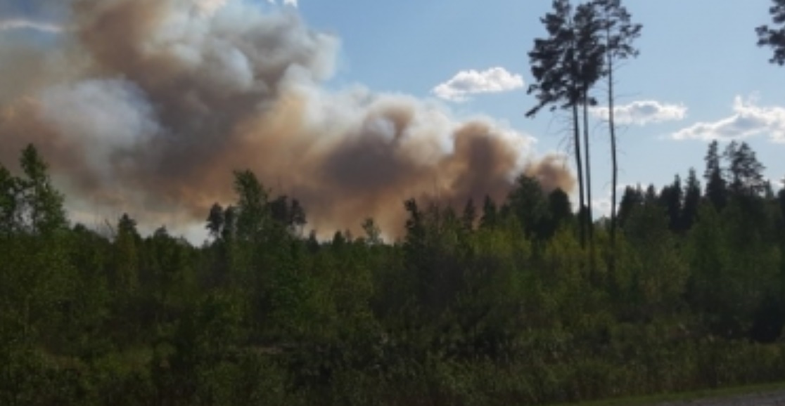 Пожары в курганской области сегодня карта