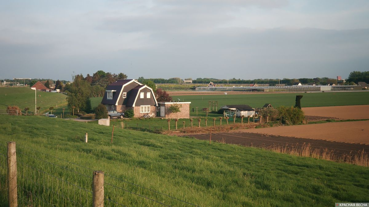 Голландия дом фермера