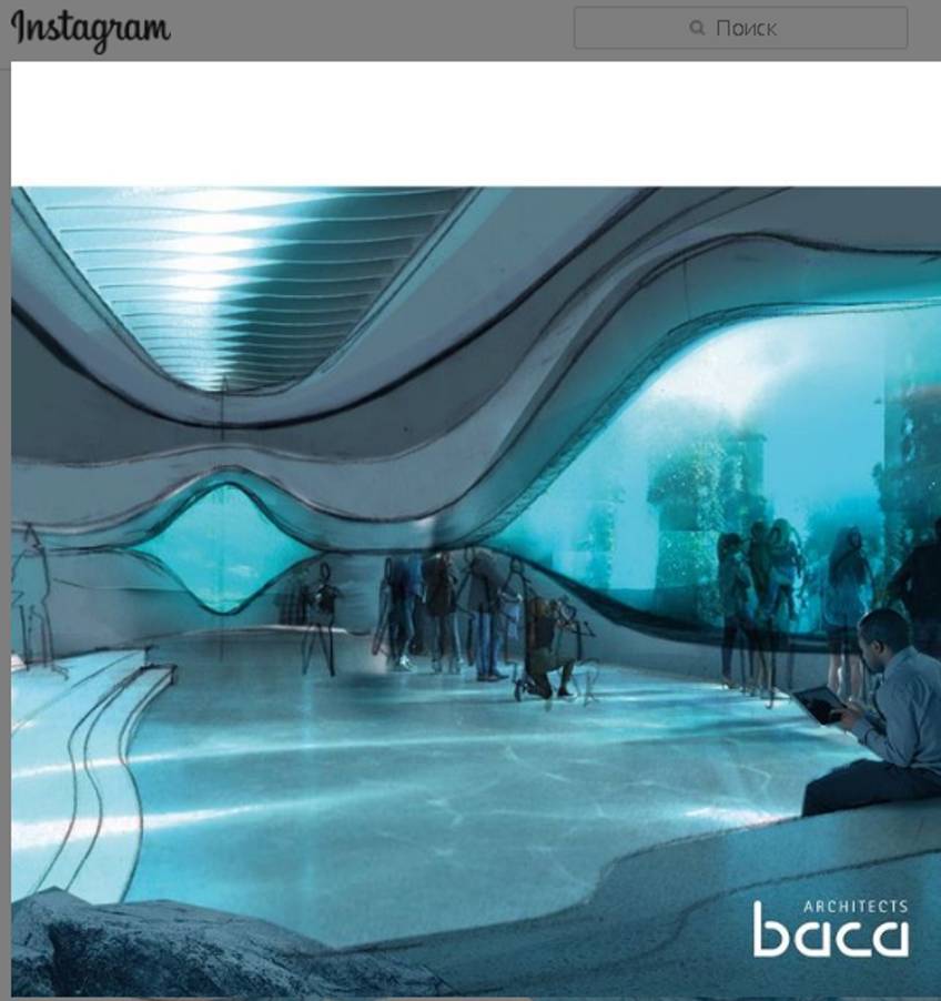 Концептуальный эскиз камеры подводной обсерватории для китообразных, выполненный командой Baca Architects. Скриншот страницы пользователя bacaarchitects, instagram.com