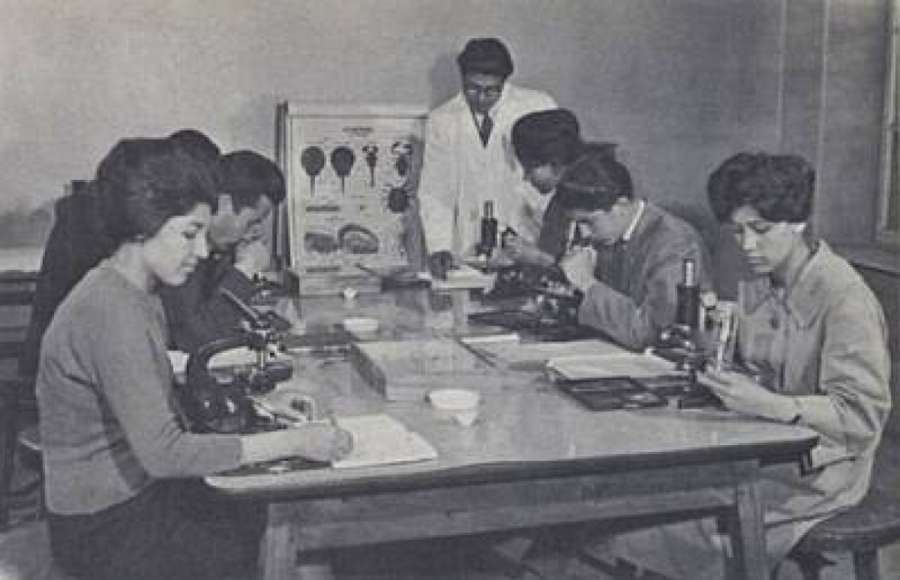 Занятие по биологии в университете Кабула, 1950-е
