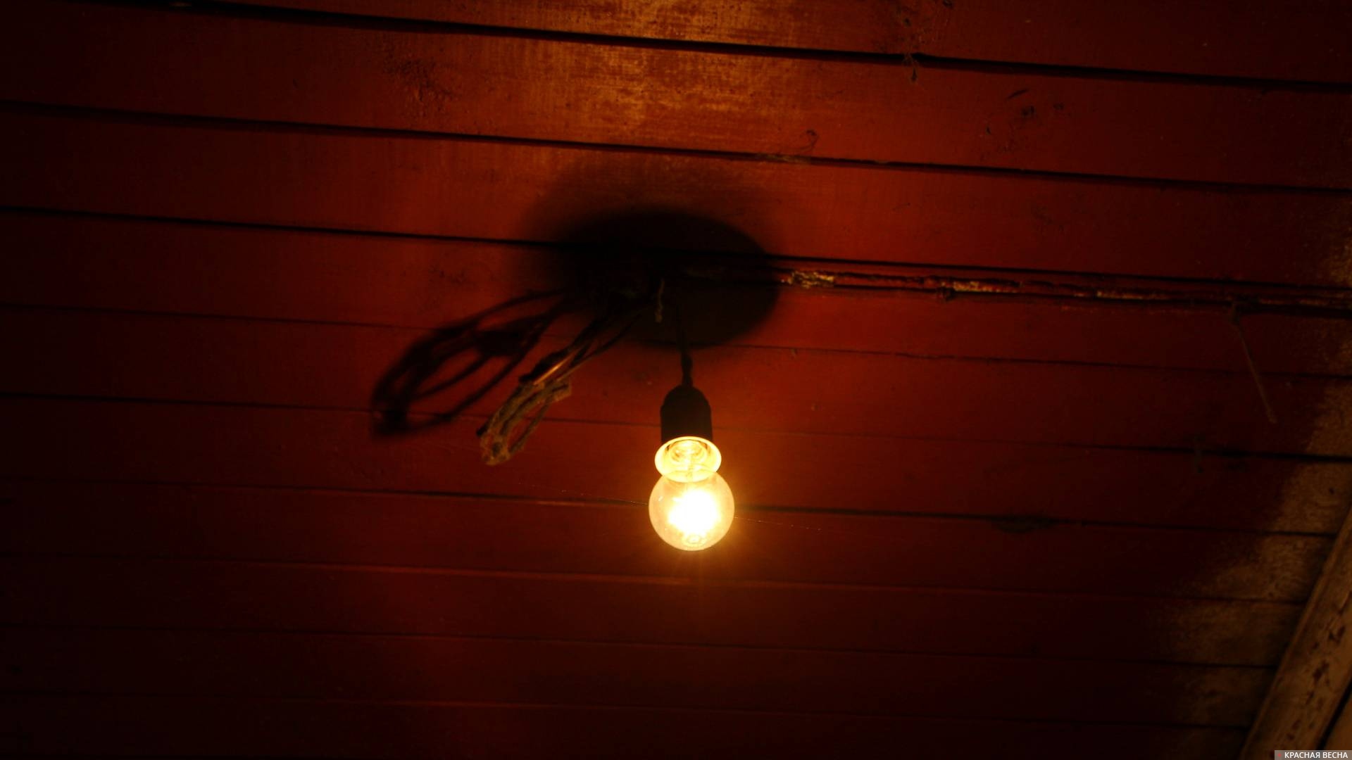 Лампочка, электричество, свет