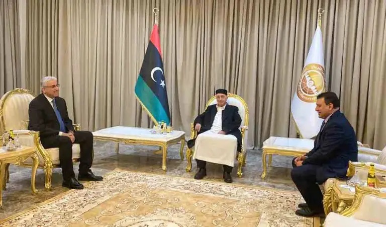 Встреча главы парламента Ливии Агилы Салеха и премьер-министра Ливии Фатхи Башаги