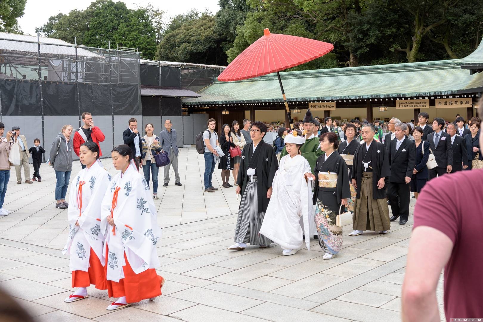 Свадебная церемония, Храм Мэйдзи, Токио, Япония