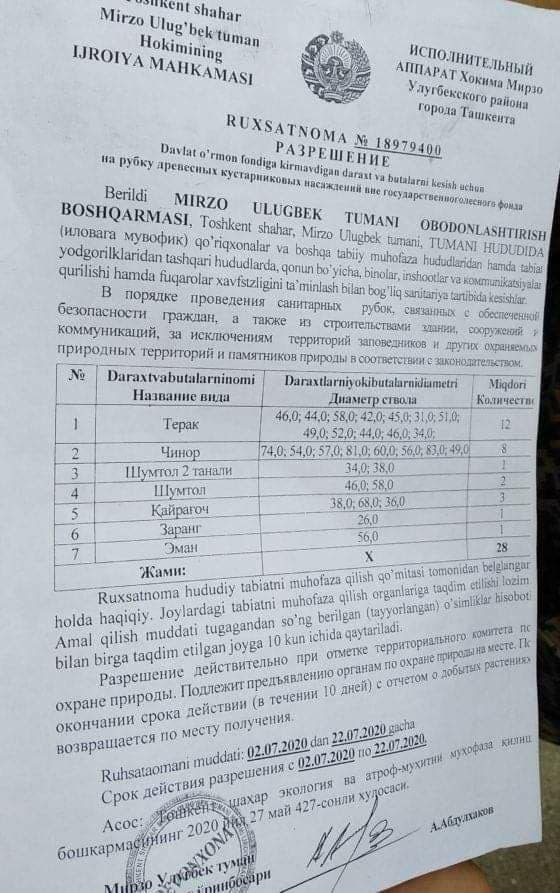Разрешение на рубку деревьев в Ташкенте