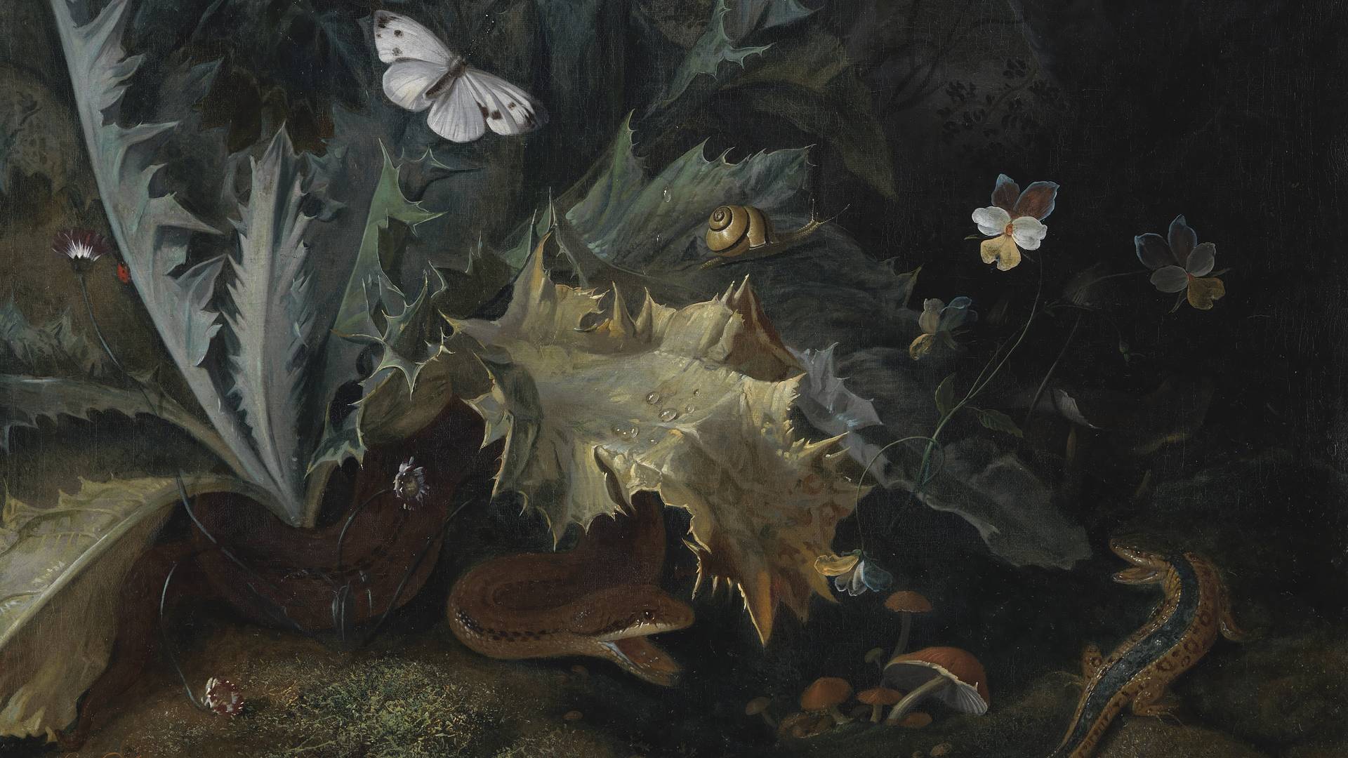 Отто Марсеус ван Скрик. Бабочка, змея и гриб (фрагмент). 1600-е
