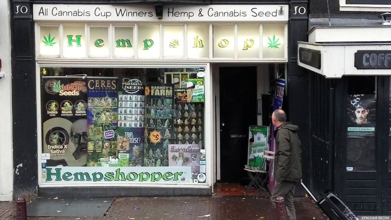 Магазин лёгких наркотиков. Амстердам. Голландия