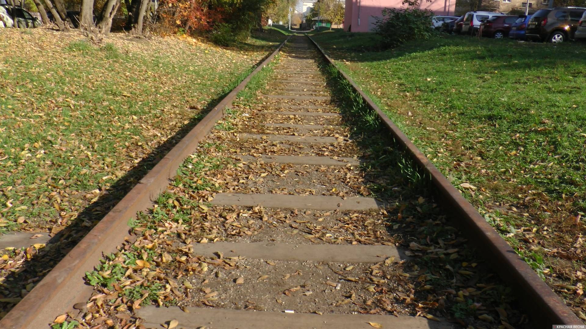 Заброшенные железнодорожные пути