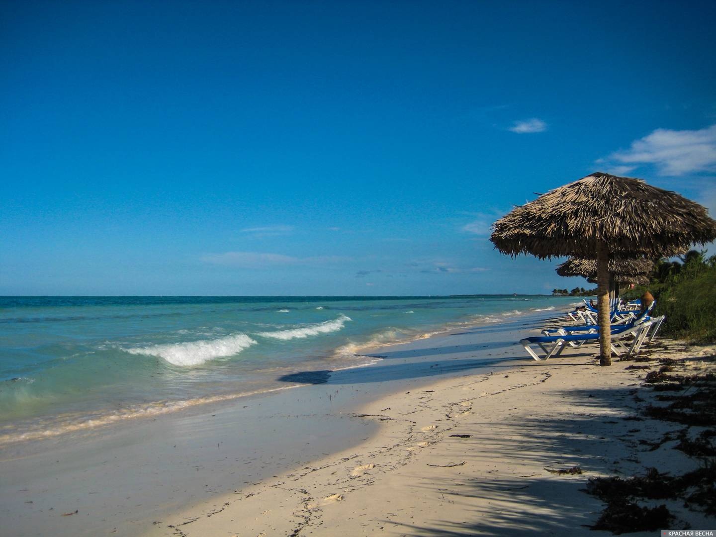Пляж. Кайо Гильермо, Куба