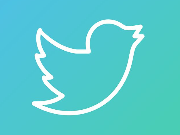 Логотип твиттера 
