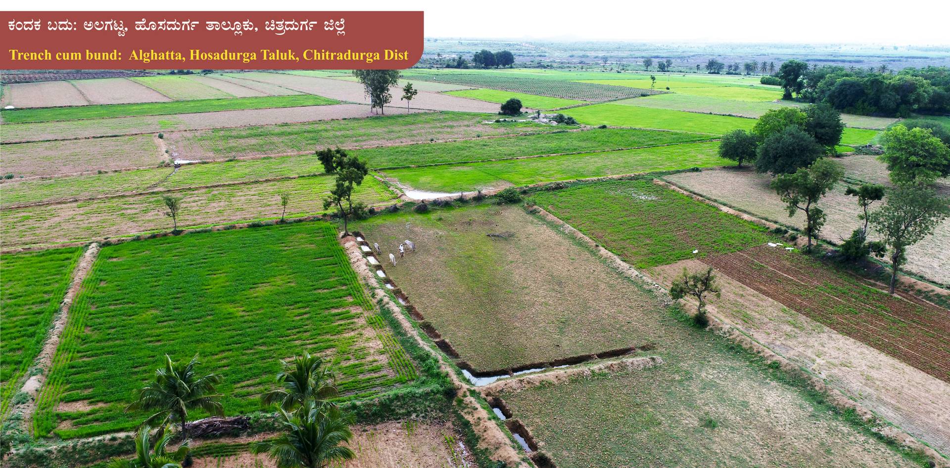 Возделанные поля в штате Карнатака