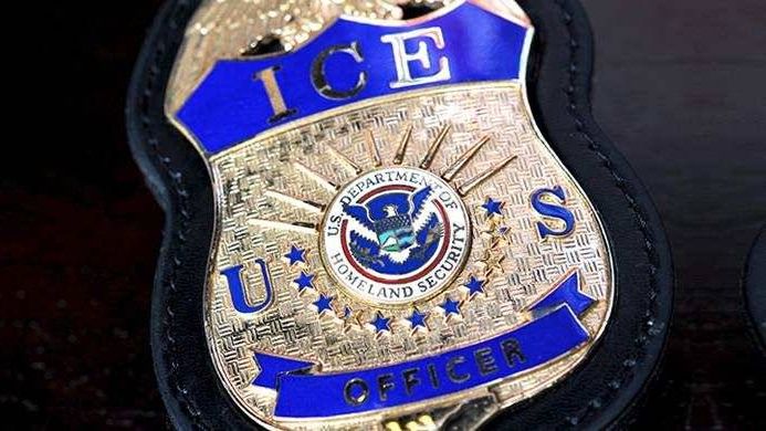 Нагрудный знак офицера иммиграционно-таможенной службы США