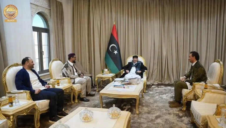 Встреча спикера Палаты представителей Ливии Агилы Салеха и главы альтернативного правительства Ливии Усама Хамада
