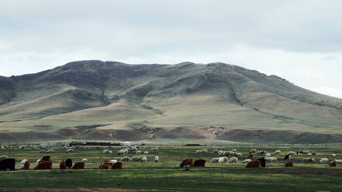Монгольский пейзаж