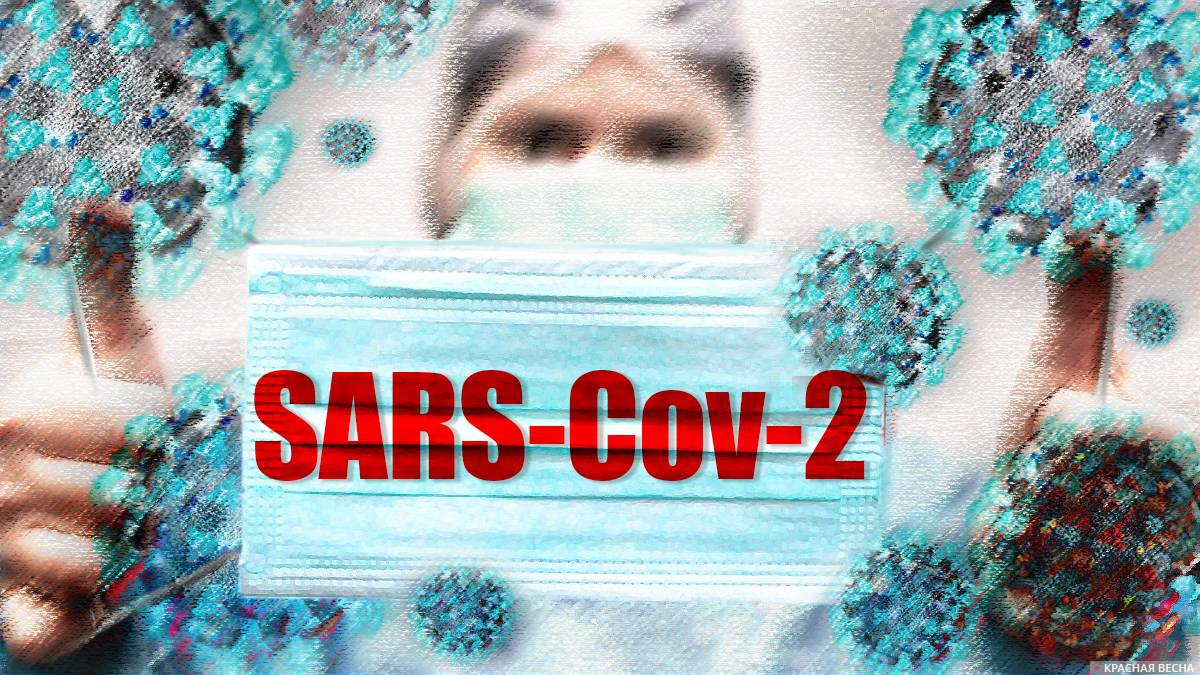 Коронавирус SARS-Cov 2