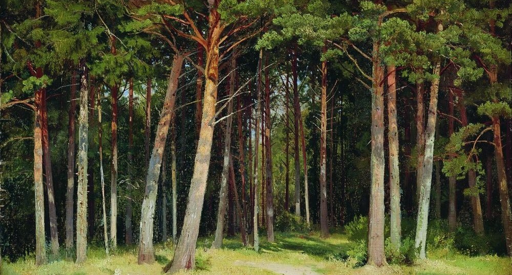 Иван Шишкин. Сосновый лес. 1885